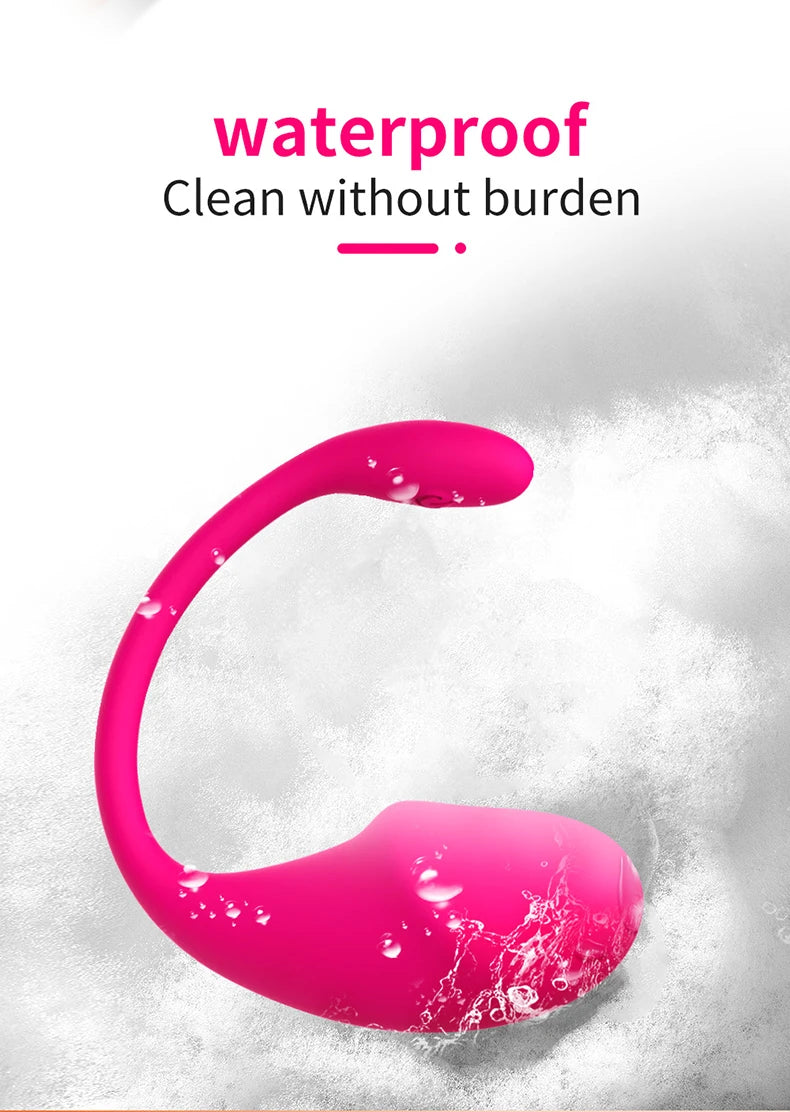 Bullet Vibrator Egg Woman Vibrating Sex Toy with APP remote